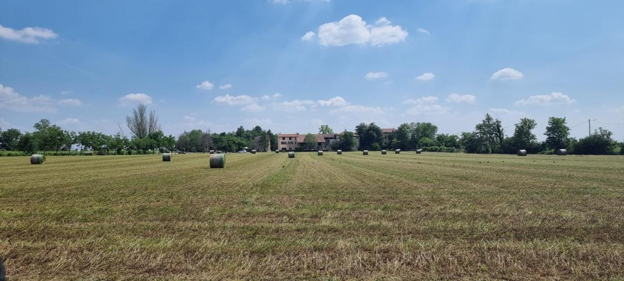 Agriturismo Alle Albare Montorio Veronese Exterior foto