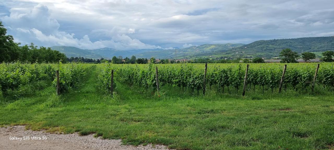 Agriturismo Alle Albare Montorio Veronese Exterior foto